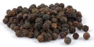 Black Pepper Seeds