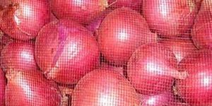 Fresh Red Onion