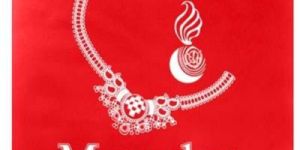 Loop Handle Non Woven Bags