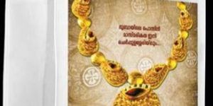 Stitched Non Woven Bags