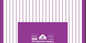 Stylish Non Woven Bags