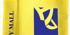 Trendy Non Woven Bags