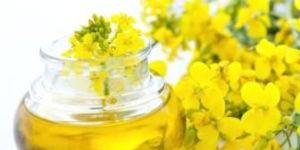 Rapeseed Oil