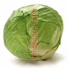 Fresh Cabbage