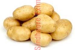 Fresh Potato