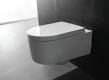 Sanitaryware Wall Hung Toilet