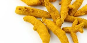 Turmeric Finger