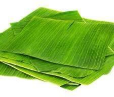 Fresh Banana Leaves