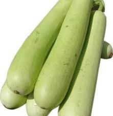 Fresh Bottle Gourd