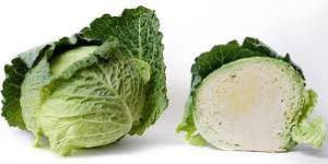 Fresh Cabbage