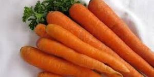 Fresh Carrot