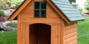 Dog Pet House