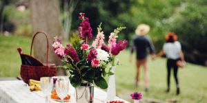 Picnic Party Arrangements
