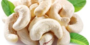 Cashew Kernel