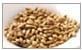 Malt Products