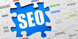 Search Engine Optimization
