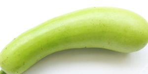 Bottle Gourd