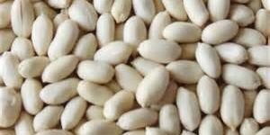 Roasted Groundnut Kernels