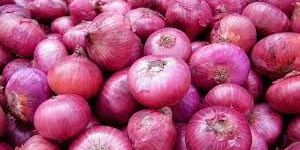 Fresh Red Onion