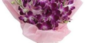 9 Purple Orchids Wrapped in a Baby Pink Wrapping Paper