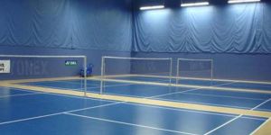 Badminton Court Lighting System
