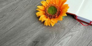 Laminated Flooring (Premium Series)