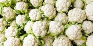 Fresh Cauliflower