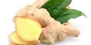 Fresh Ginger