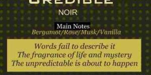 Mens Louis Cardin Credible Noir Perfume