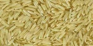 Golden Rice