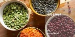 Organic Lentils