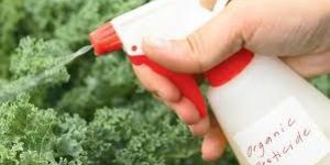 Organic Pesticides