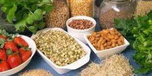 Organic Processed Food