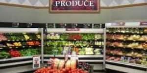 Organic Vermicompost