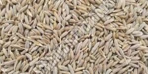 Whole Cumin