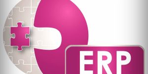 ERP Software Development