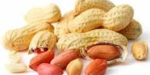 Shelled Peanuts