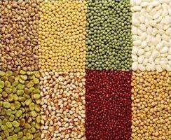 Cereals and Pulses