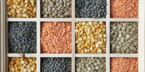 Indian Pulses
