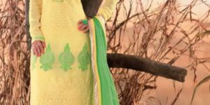 Zari Resham Embroidered Dress