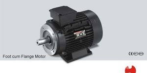 Foot Mount Motor