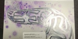 Xience Prime Coronary Stent