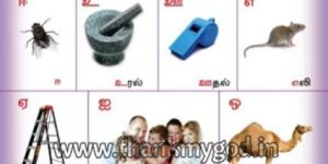 Tamil Alphabets Chart