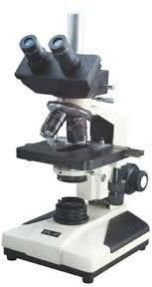 Trinocular Microscope