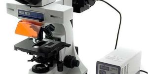 Trinocular Fluorescence Microscope