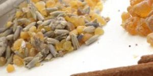 Pharmaceutical Drugs