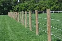 Fence Posts