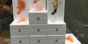 Brand New Apple iPhone 6s Plus 64 Gb Gold