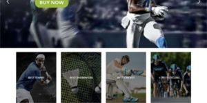 Web Development Solutions