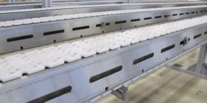 SS FLEXIBLE CONVEYORS